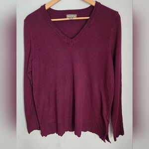 Style & Co. Purple Burgundy V-Neck Rayon Blend Sweater